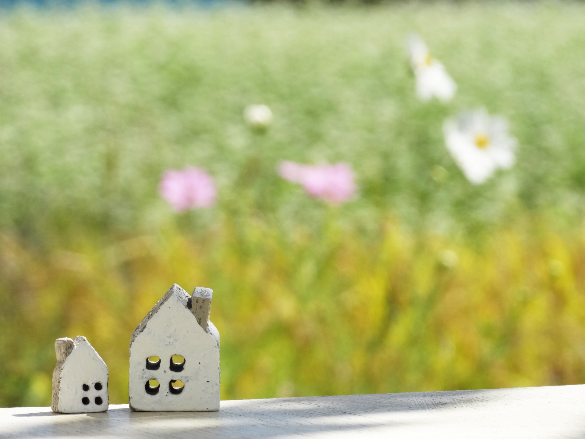 そろそろ家を建てたい!でも何から始めればいいの?