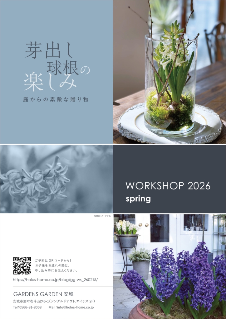■終了しました【2/15sun】芽出し球根の楽しみ ｜ ワークショップ開催のお知らせ